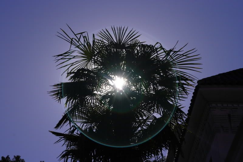 IMAGE: http://i139.photobucket.com/albums/q285/0110x011/IMG_2948.jpg