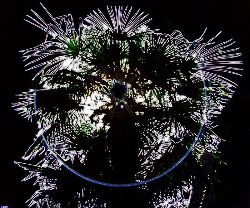 IMAGE: http://i139.photobucket.com/albums/q285/0110x011/IMG_2948glow2.jpg