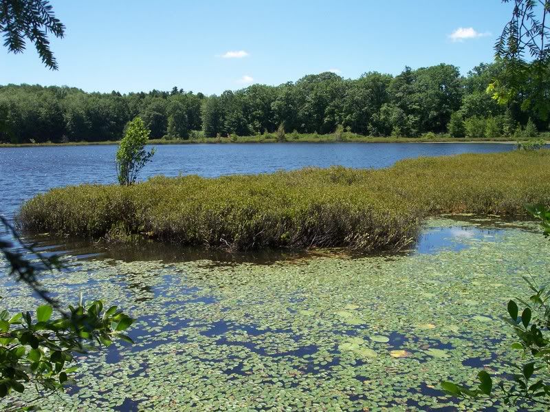 Moss Lake 2008(lots a photos)