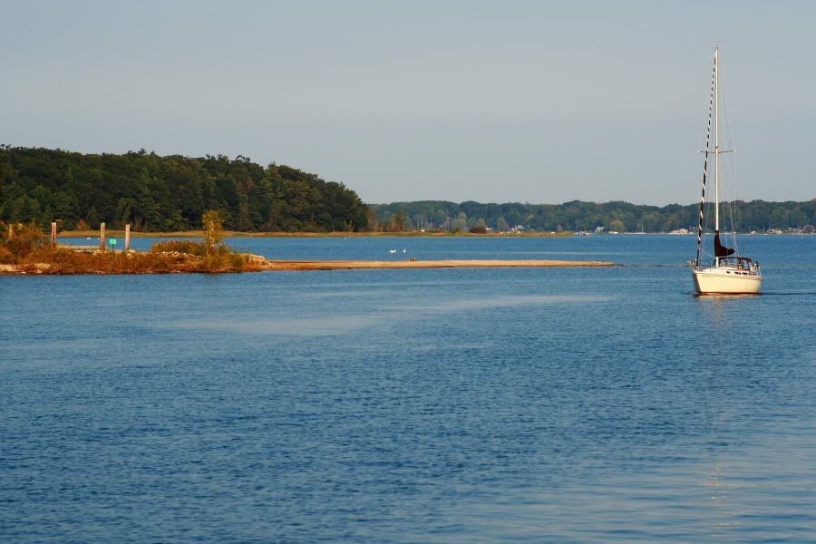 Montague And Whitehall Photos Free Download Nude Photo Gallery