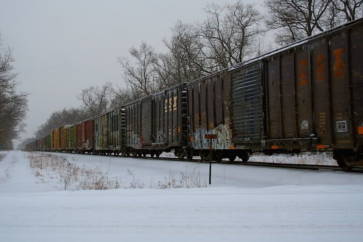 IMAGE: http://i139.photobucket.com/albums/q287/BB_Michigan/Trains/IMG_0423.jpg