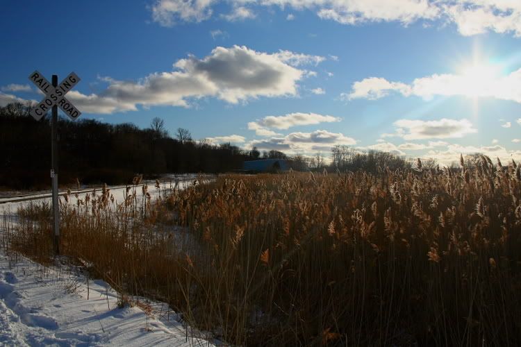 IMAGE: http://i139.photobucket.com/albums/q287/BB_Michigan/Trains/IMG_0609.jpg