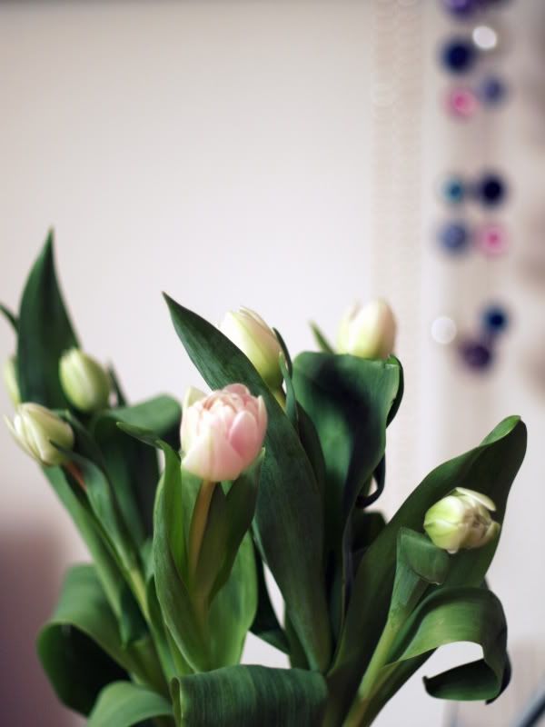 Что в Пфорцхайме определенно лучше, так это бюрократия! Я 