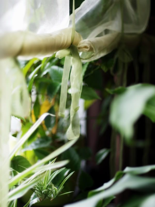 Что в Пфорцхайме определенно лучше, так это бюрократия! Я 