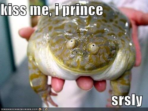 http://i139.photobucket.com/albums/q288/Apenijn/funny-pictures-frog-prince-kiss.jpg