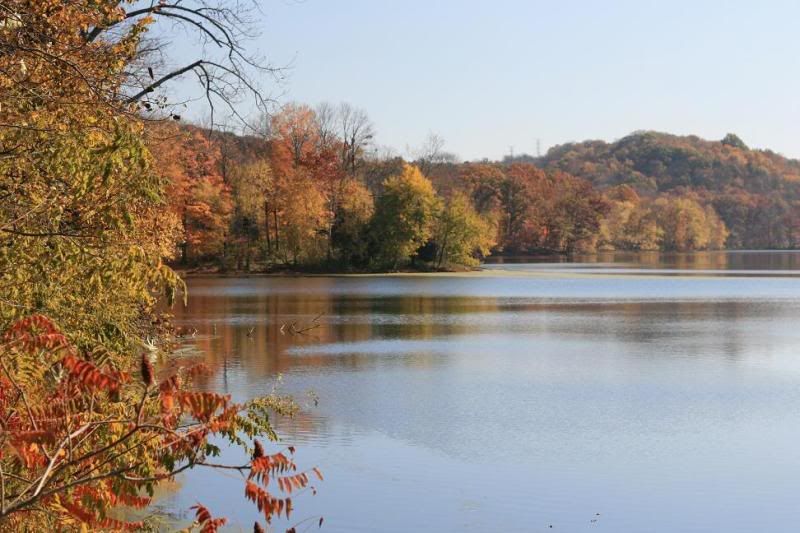 radnor lake tn