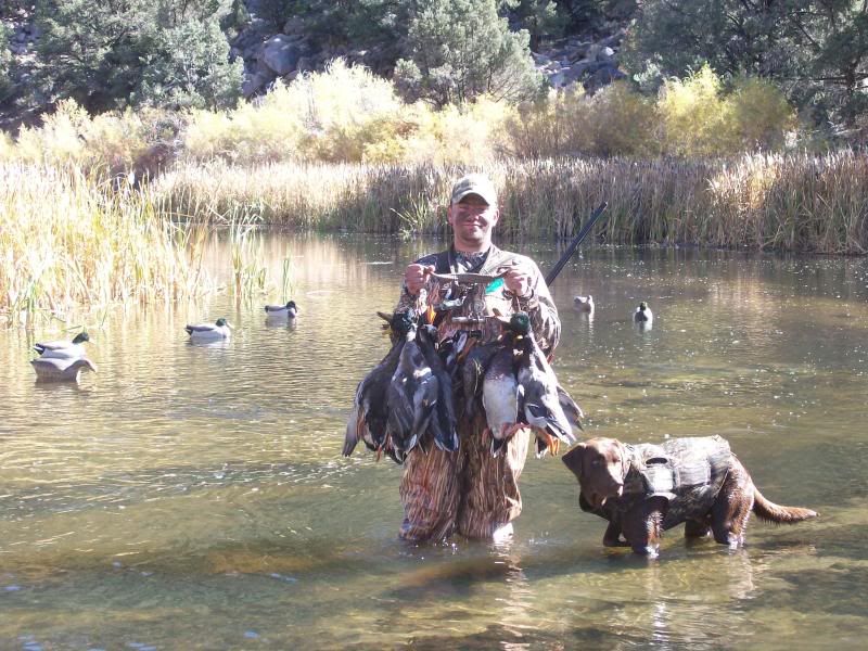 Duck Hunting Chat • Season Carnage California Duck Hunting