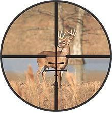 deer-target.jpg