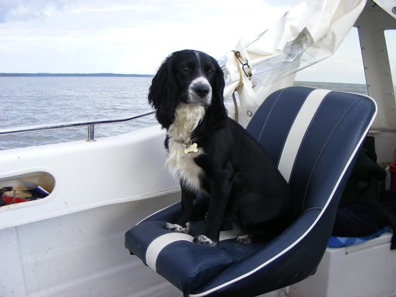 Bonnie_In_Boat.jpg Bonnie on Alcatraz image by loftyd