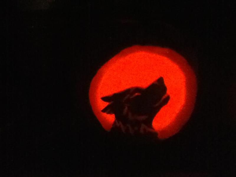 wolfpumpkin.jpg