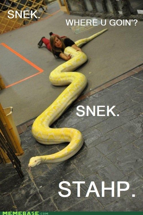 snekstahp.jpg