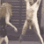 29.gif