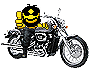 HD.gif