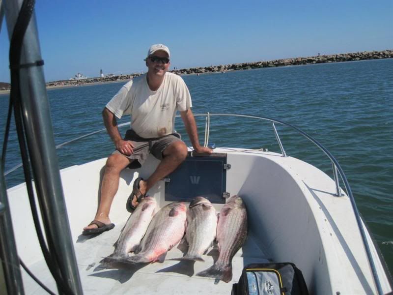 4bassBI9-10-11.jpg