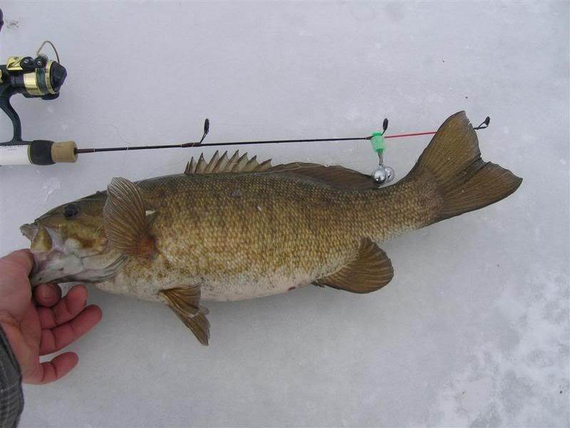 FatSmallie2-16-07.jpg