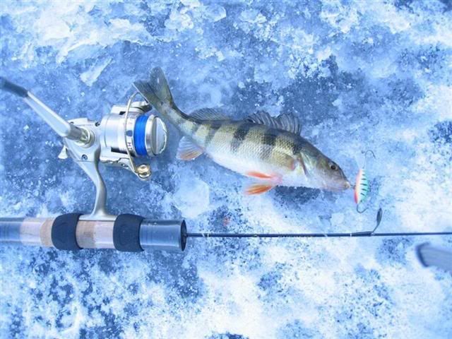Mewithaquickiesmallperch.jpg