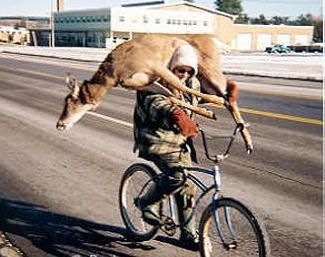 Deer-bike.jpg