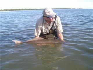 redfish2.jpg