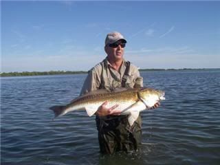 redfish3.jpg