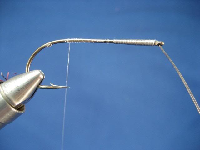 huntsfrogs008.jpg
