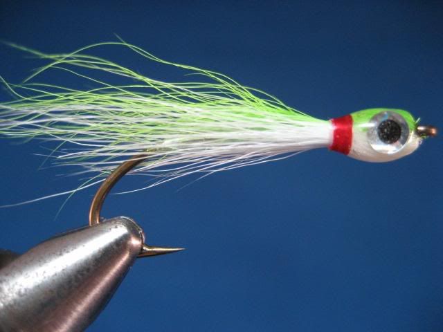 thundercreekminnow002.jpg