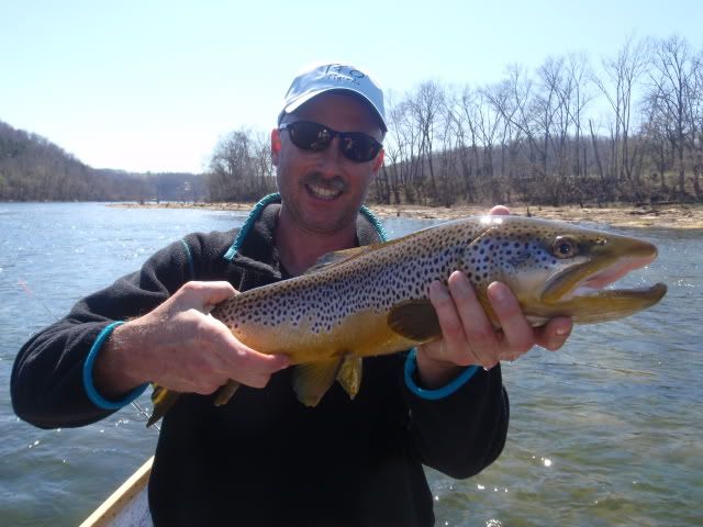 scottswhiteriverbrown002.jpg
