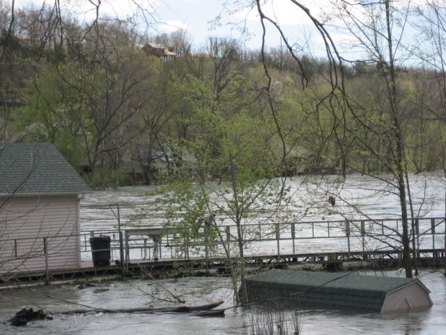 flood4-11-08050.jpg