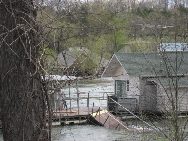 flood4-11-08051.jpg