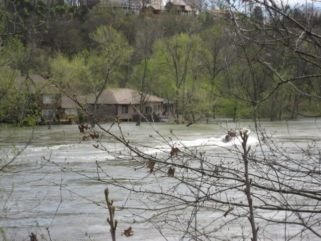 flood4-11-08066.jpg