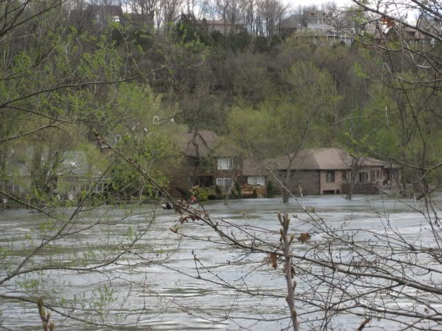 flood4-11-08074.jpg