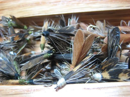 tentwiingcaddis.jpg