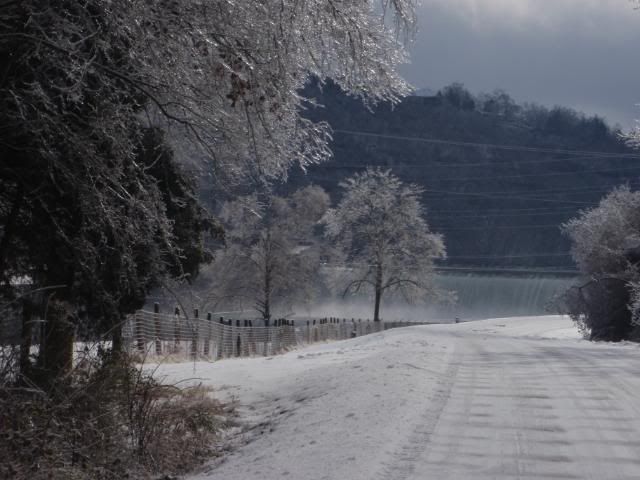 wintericestorm1-29-09267.jpg