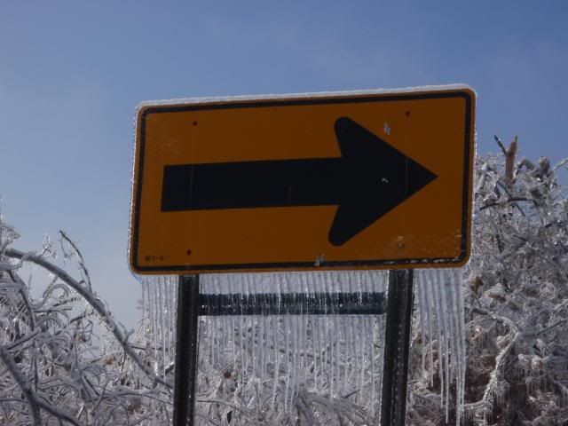 wintericestorm1-29-09286.jpg