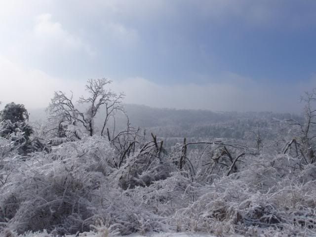 wintericestorm1-29-09289.jpg