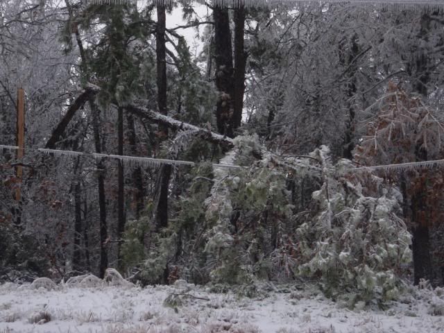 wintericestorm1-29-09297.jpg