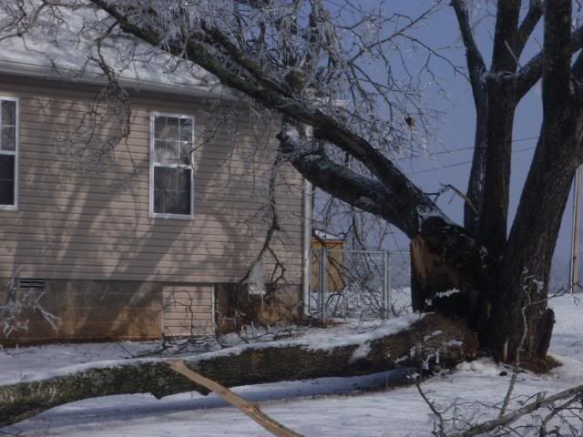 wintericestorm1-29-09316.jpg