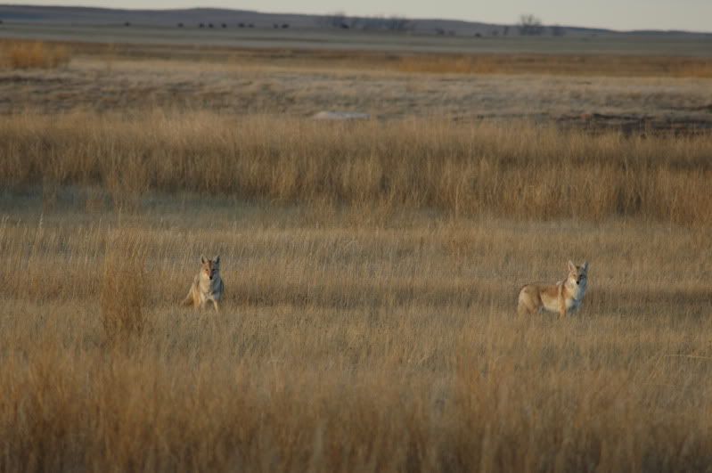46-DSC_0033.jpg