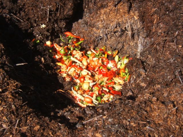 Extreme Composting - Homesteading Questions