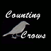 counting crows