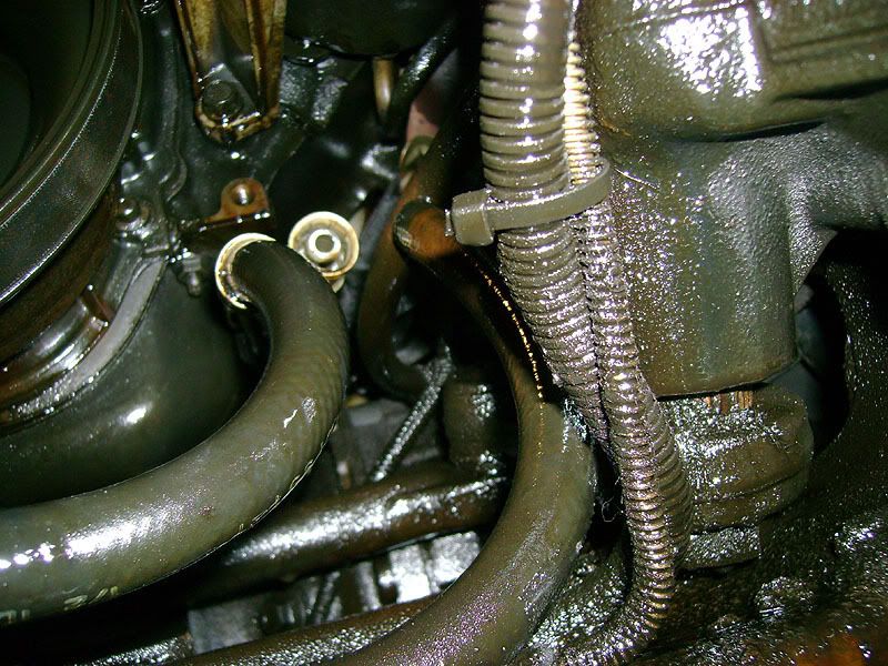 Oil cooler lines on the blazers... S10 Forum