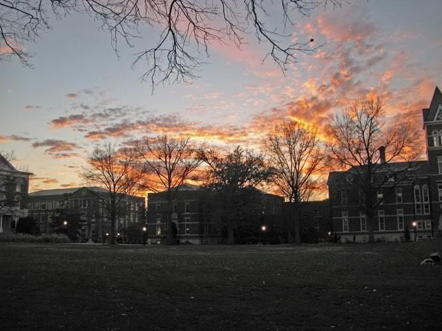 IMAGE: http://i139.photobucket.com/albums/q306/Emeraldhearts/IMG_0365.jpg