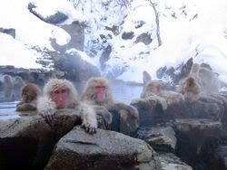 Japanese Onsen Pictures, Images and Photos