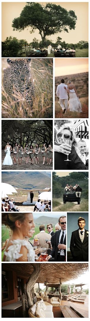 Safari africa wedding