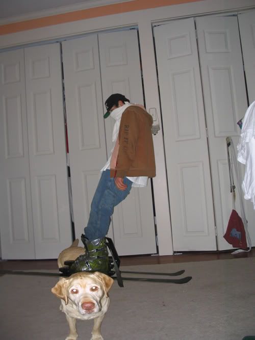 heed_on_dogcopy.jpg