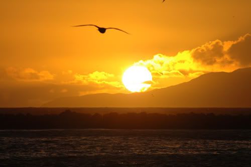 beach sunset. each sunset