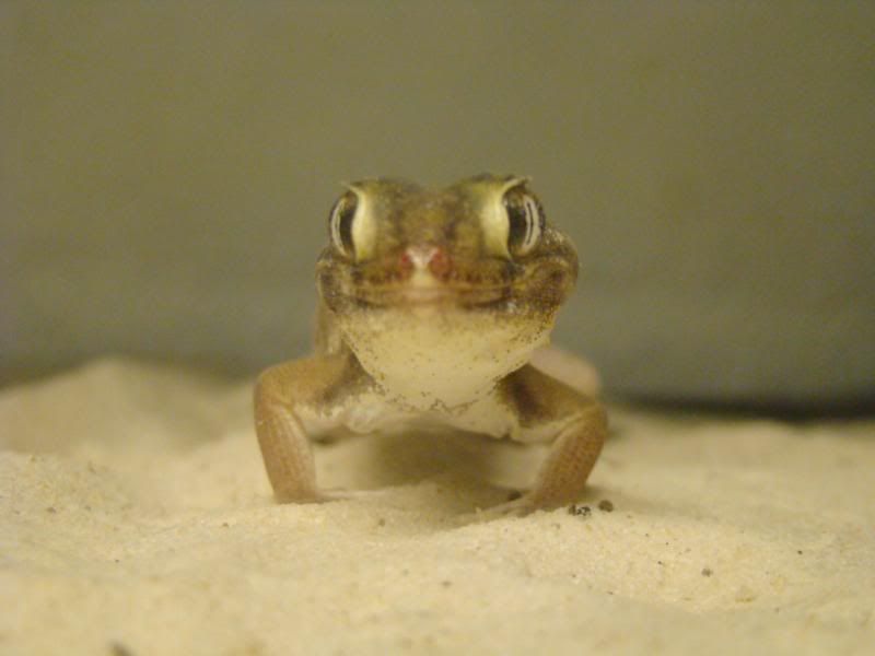 DSC01528.jpg
