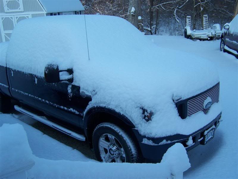 100_1195Medium.jpg