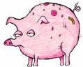 Avatarpig2.jpg