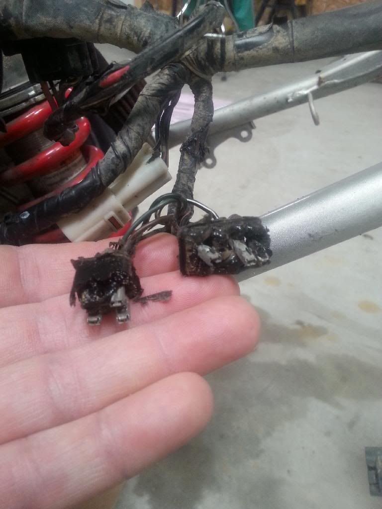 Strange cdi Wiring - Suzuki Z400 Forum : Z400 Forums
