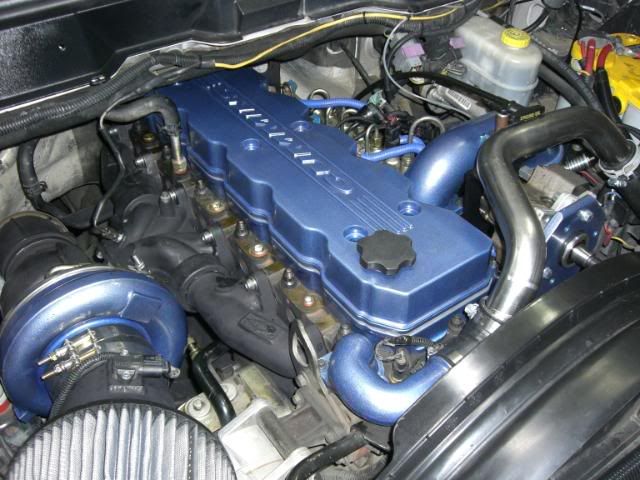 bluecummins005.jpg